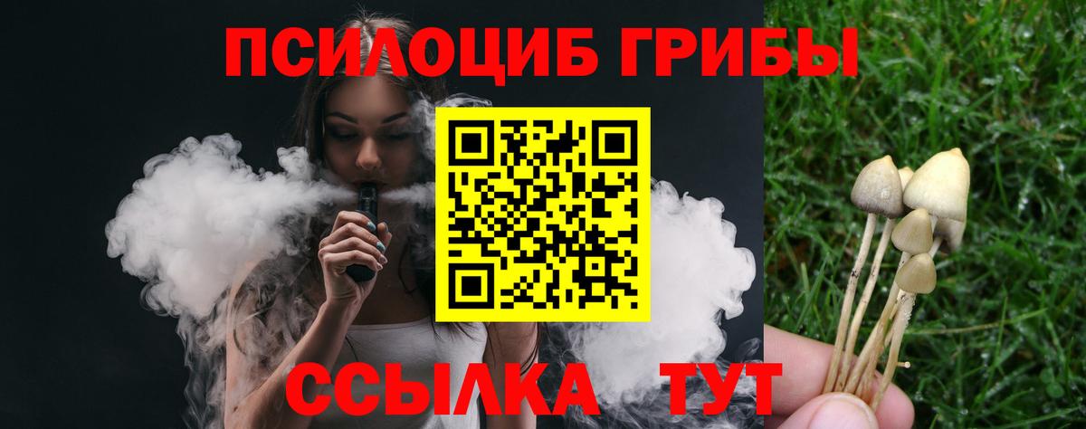 Гусиноозёрск  Псилоцибиновые грибы Psilocybine cubensis  продажа наркотиков  Вход с VPN 